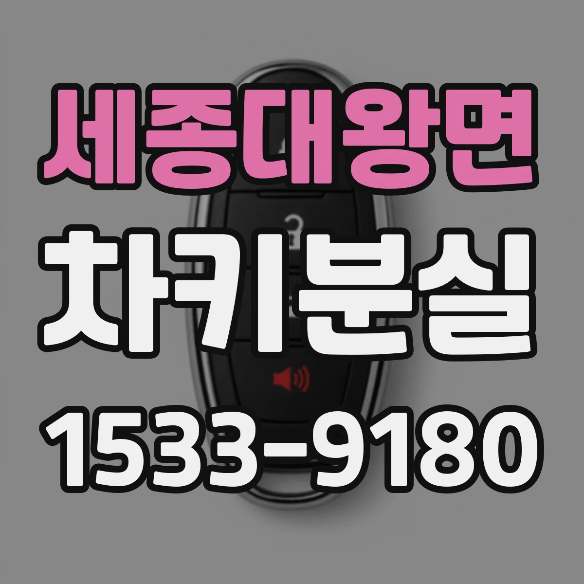 세종대왕면 차키분실