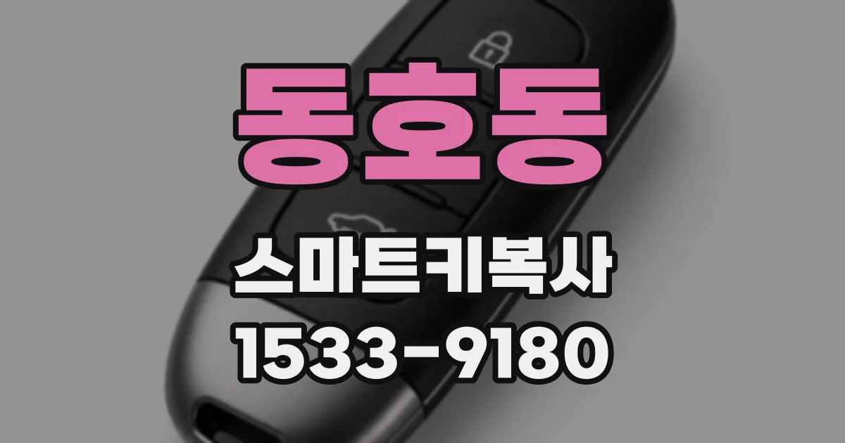 동호동 스마트키복사