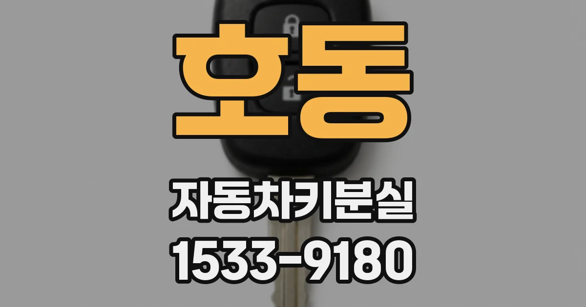 호동 자동차키분실