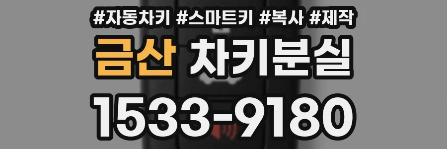 금산 차키분실