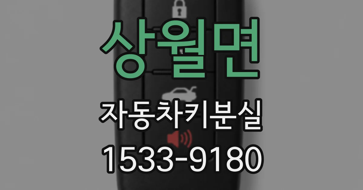 상월면 자동차키분실