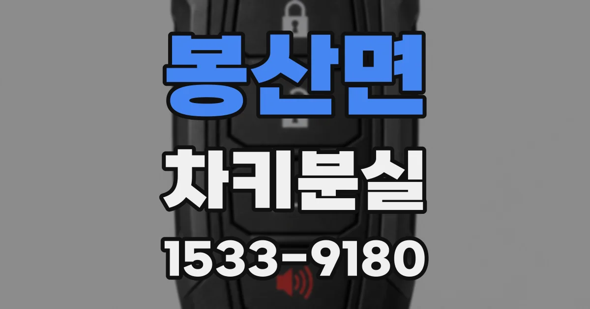 봉산면 차키분실