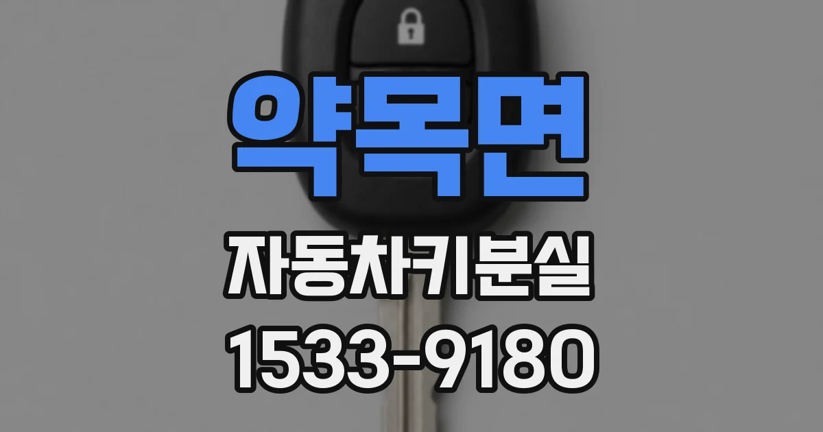 약목면 자동차키분실
