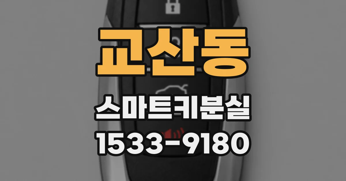 교산동 스마트키분실