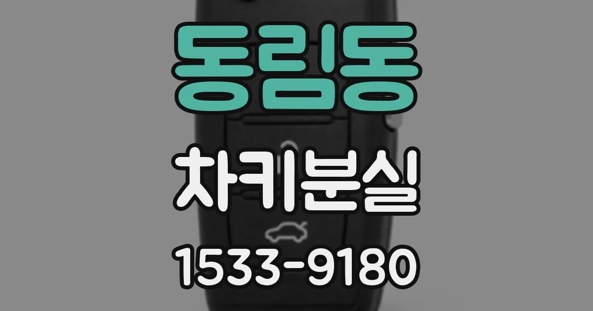 동림동 차키분실