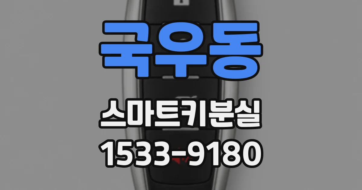 국우동 스마트키분실