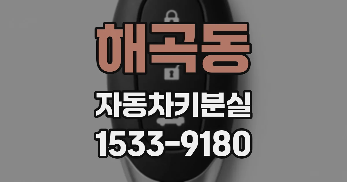 해곡동 자동차키분실