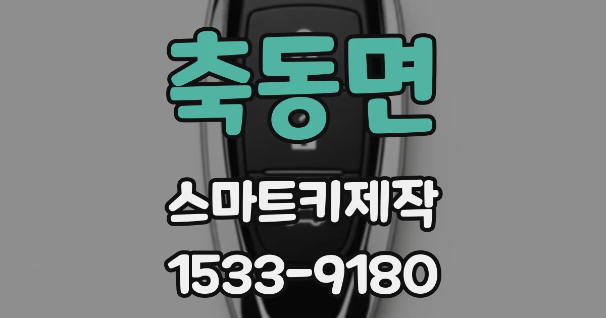 축동면 스마트키제작