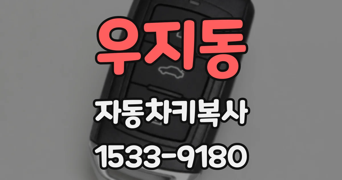 우지동 자동차키복사