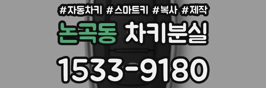 논곡동 차키분실