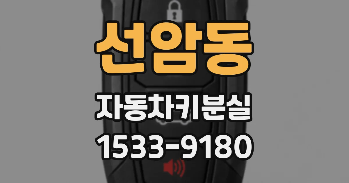 선암동 자동차키분실