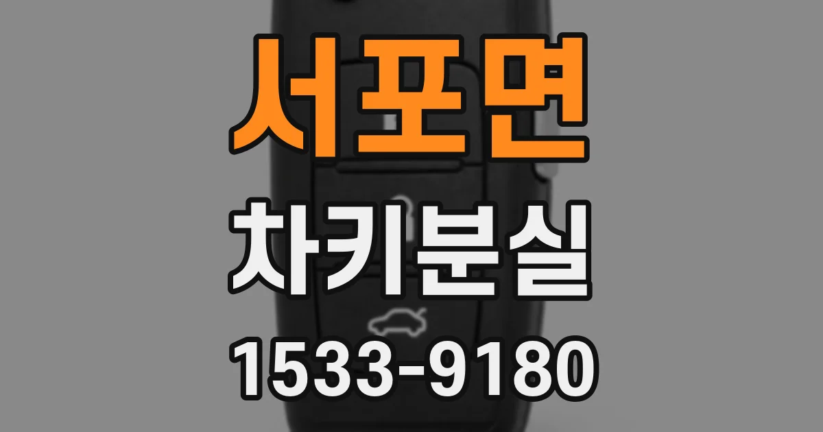 서포면 차키분실