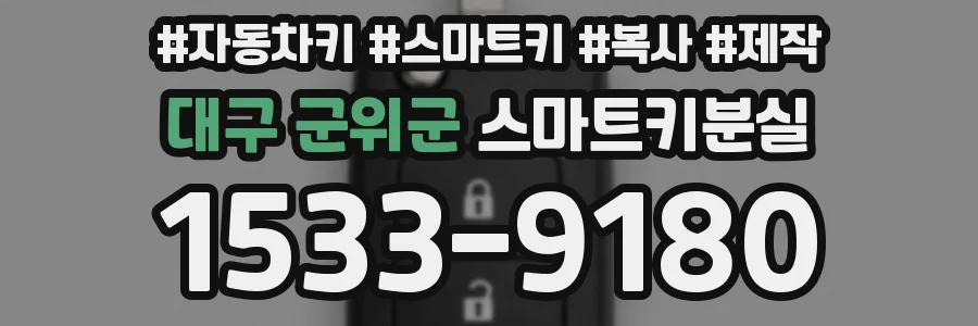 대구 군위군 스마트키분실