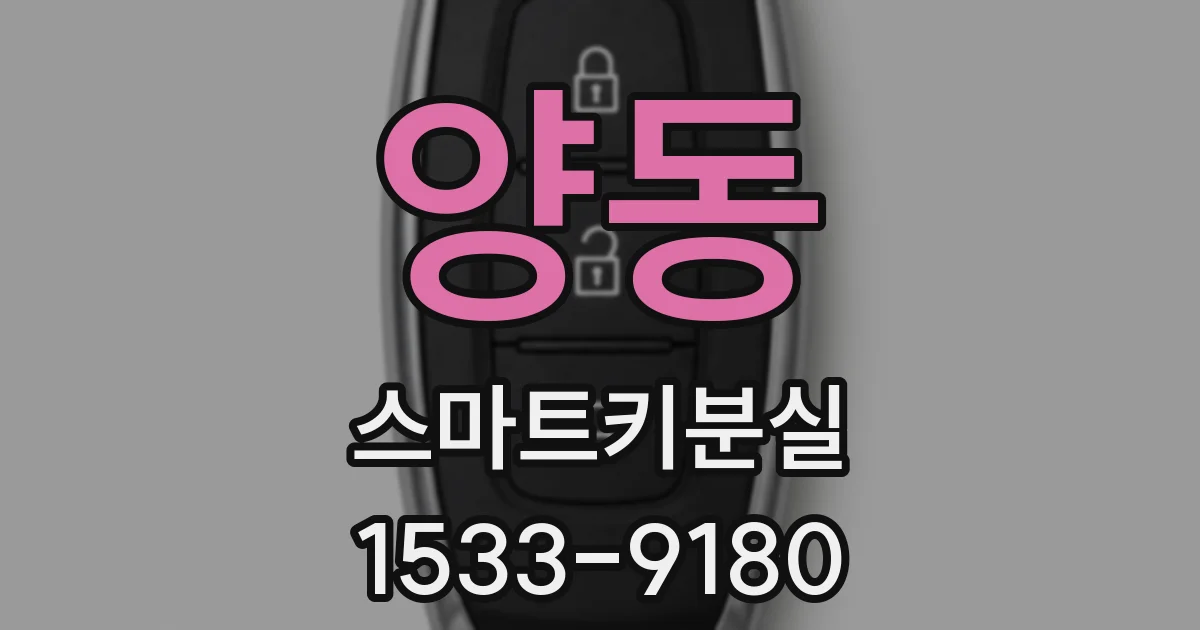 양동 스마트키분실