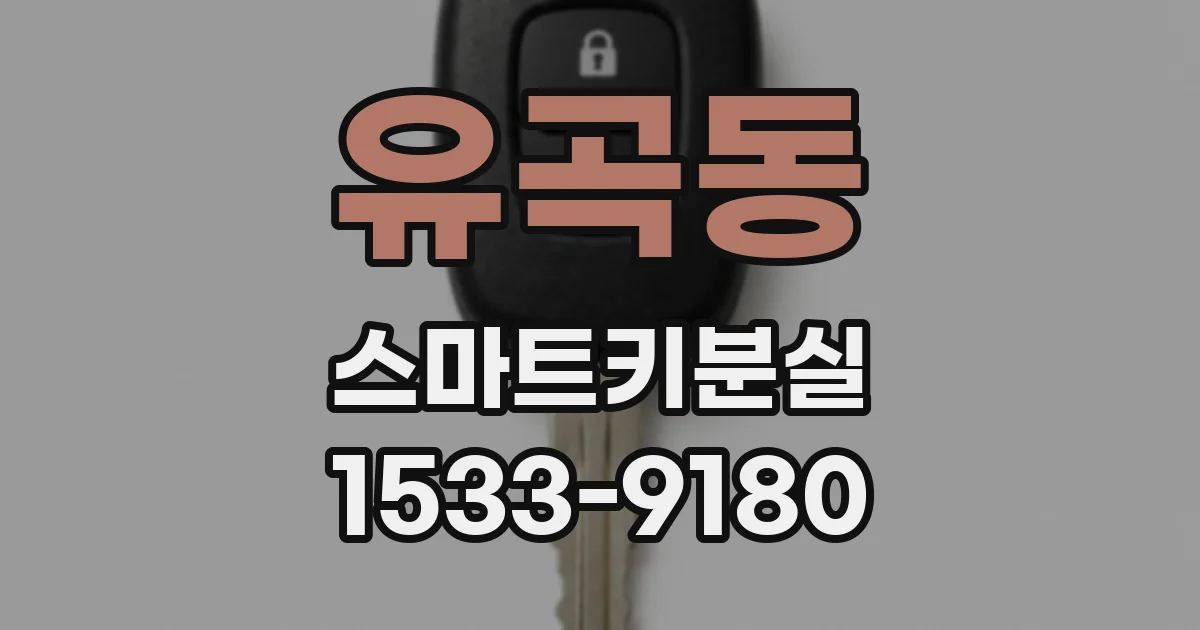 유곡동 스마트키분실