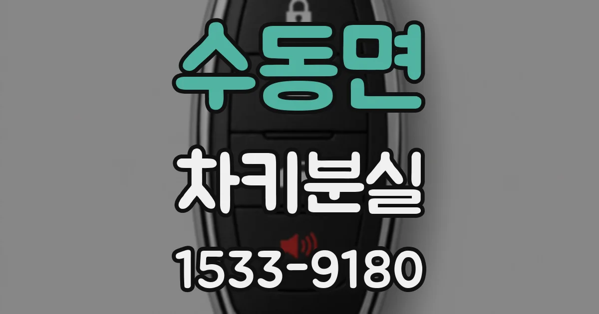수동면 차키분실