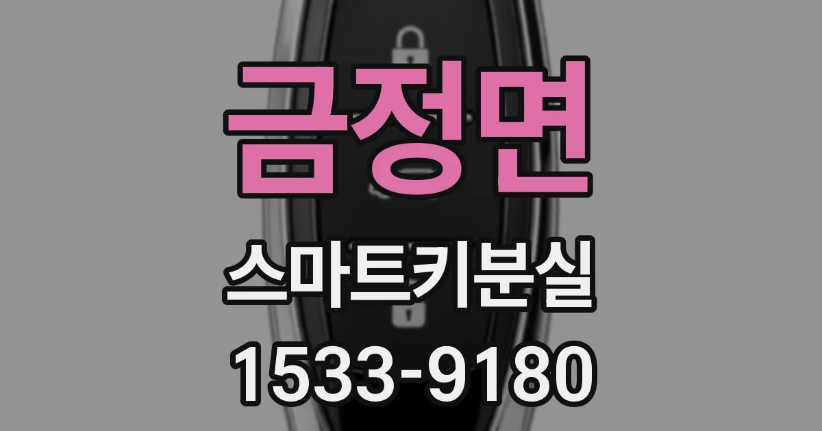 금정면 스마트키분실