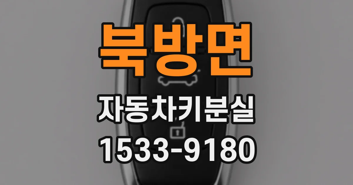 북방면 자동차키분실