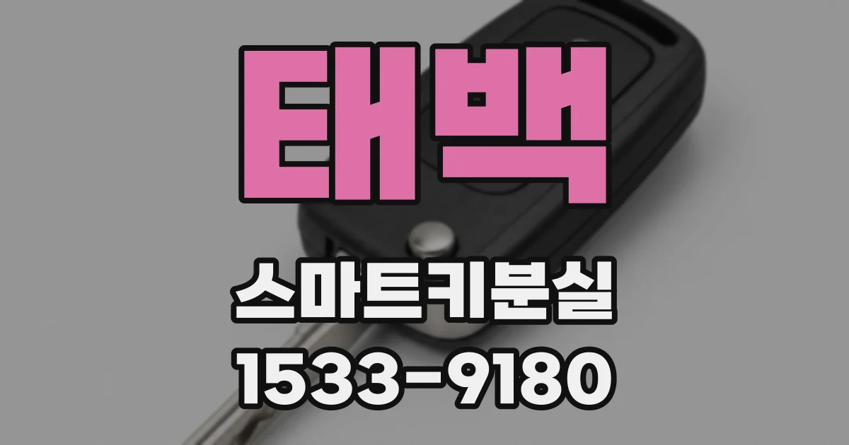 태백 스마트키분실