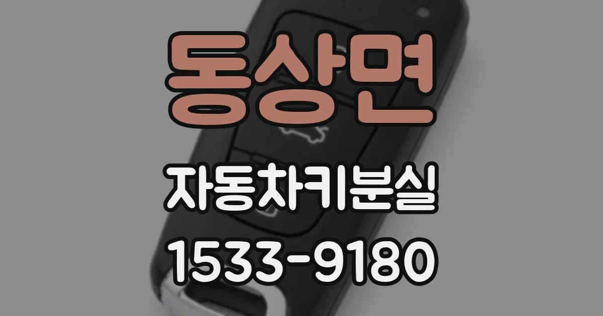 동상면 자동차키분실
