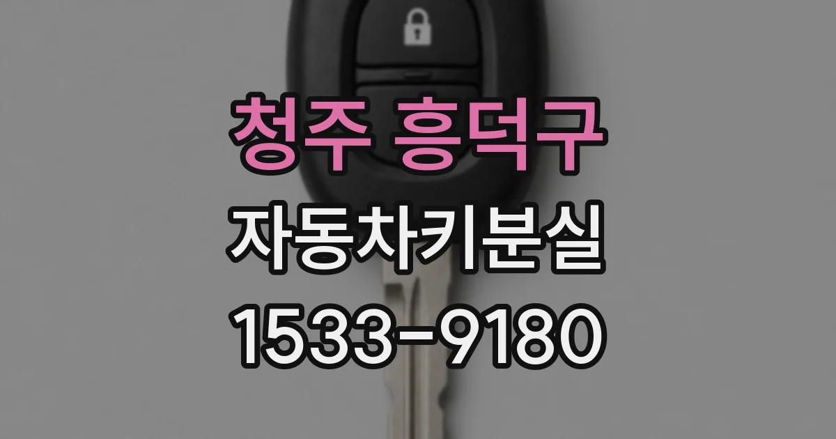 청주 흥덕구 자동차키분실
