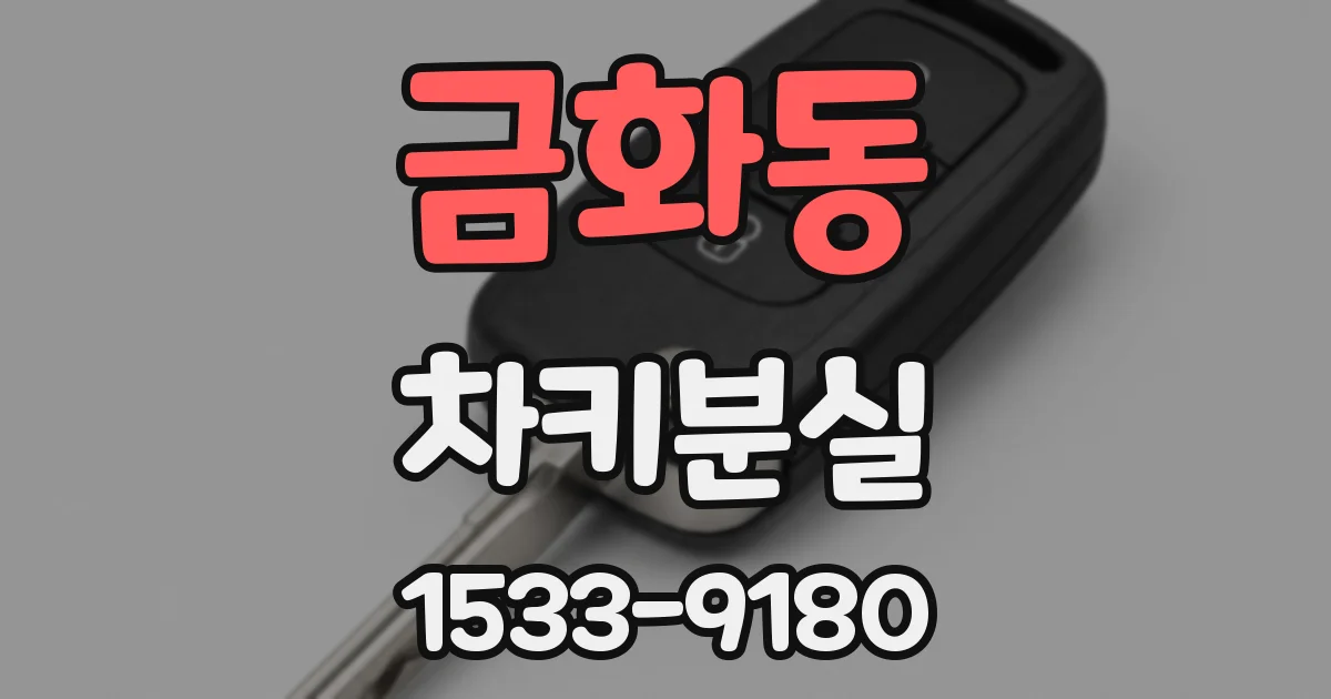 금화동 차키분실