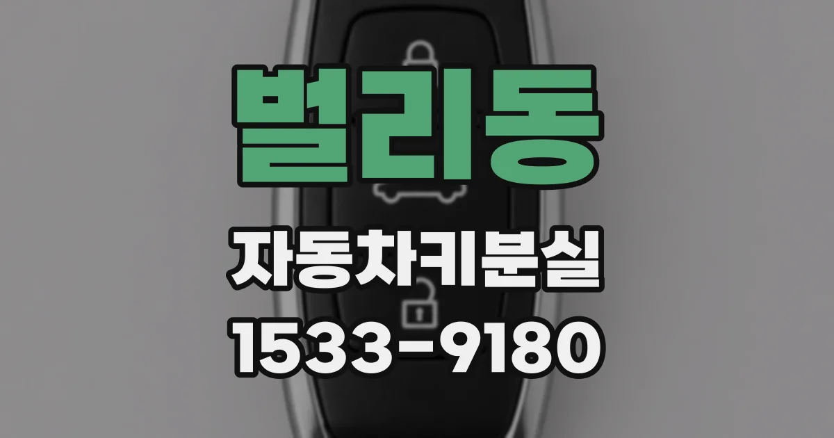 벌리동 자동차키분실