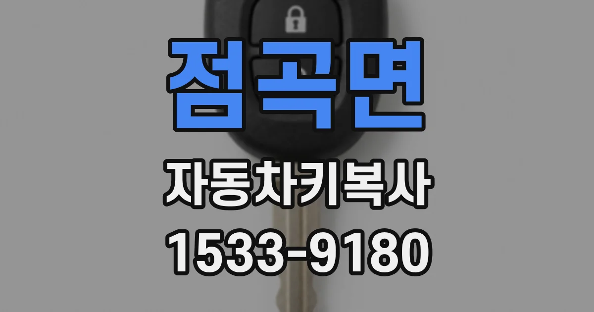 점곡면 자동차키복사
