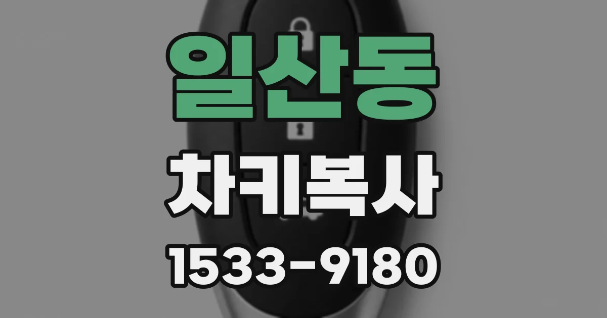 일산동 차키복사