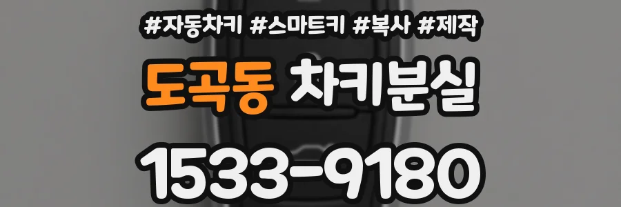 도곡동 차키분실