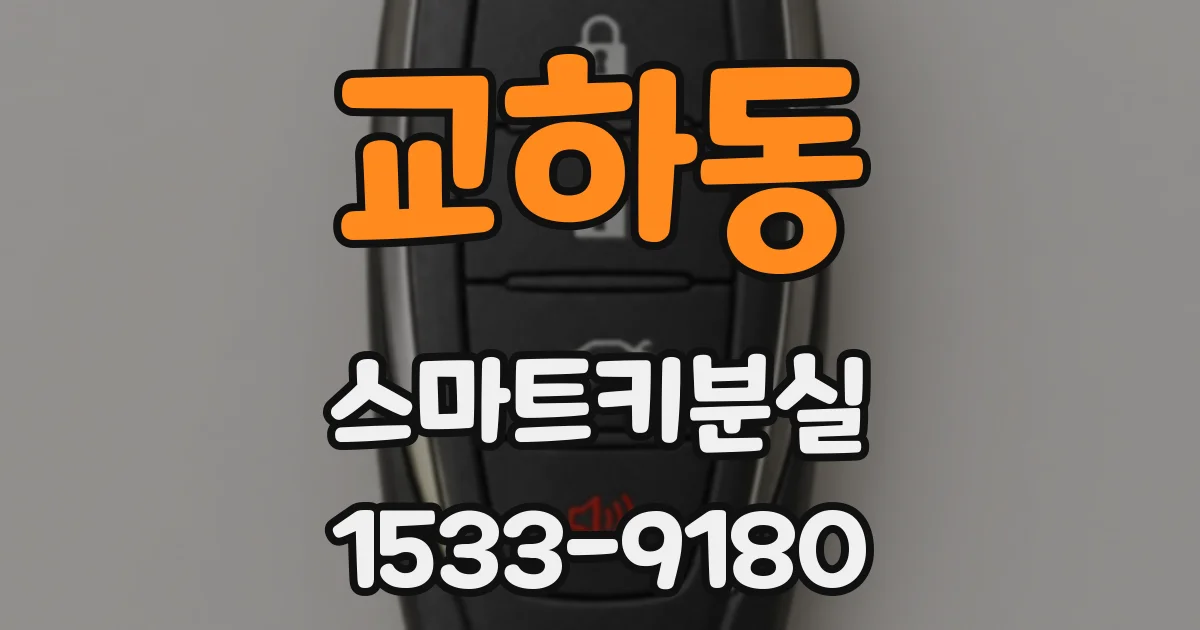 교하동 스마트키분실