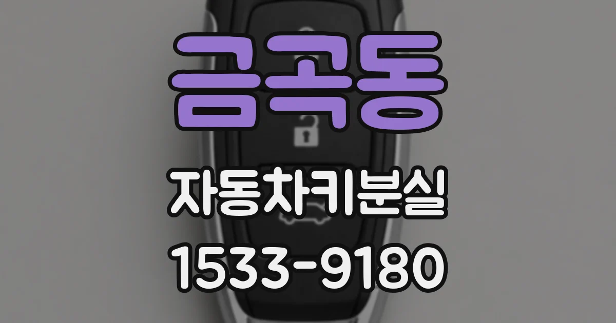 금곡동 자동차키분실