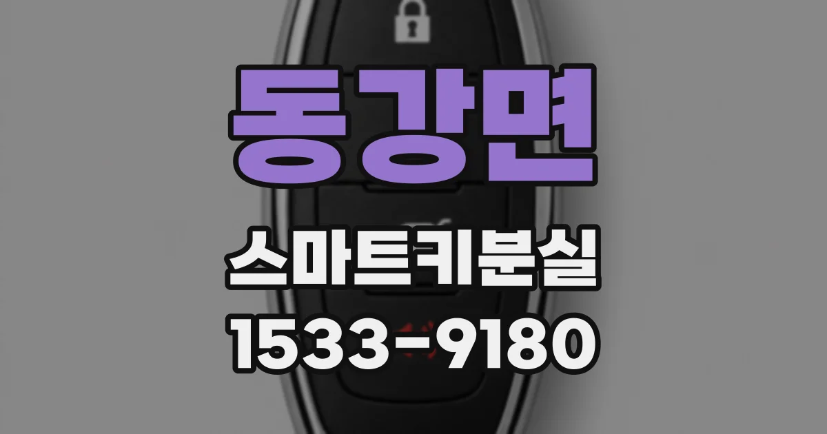 동강면 스마트키분실