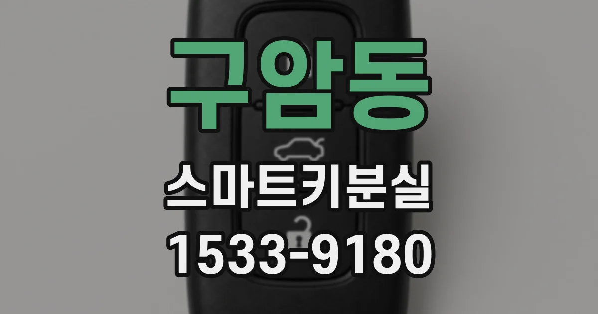 구암동 스마트키분실