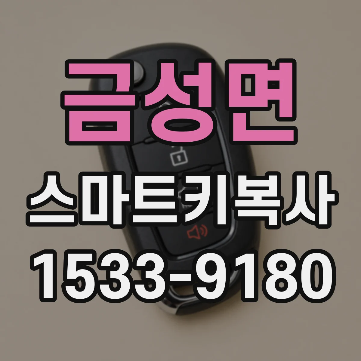 금성면 스마트키복사