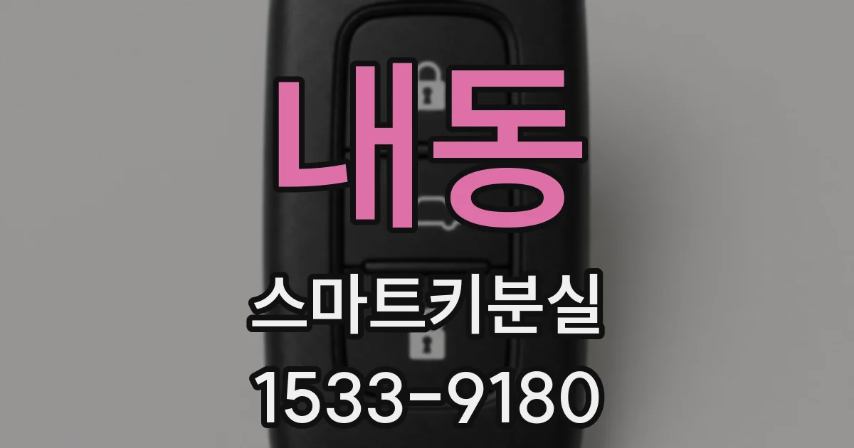 내동 스마트키분실