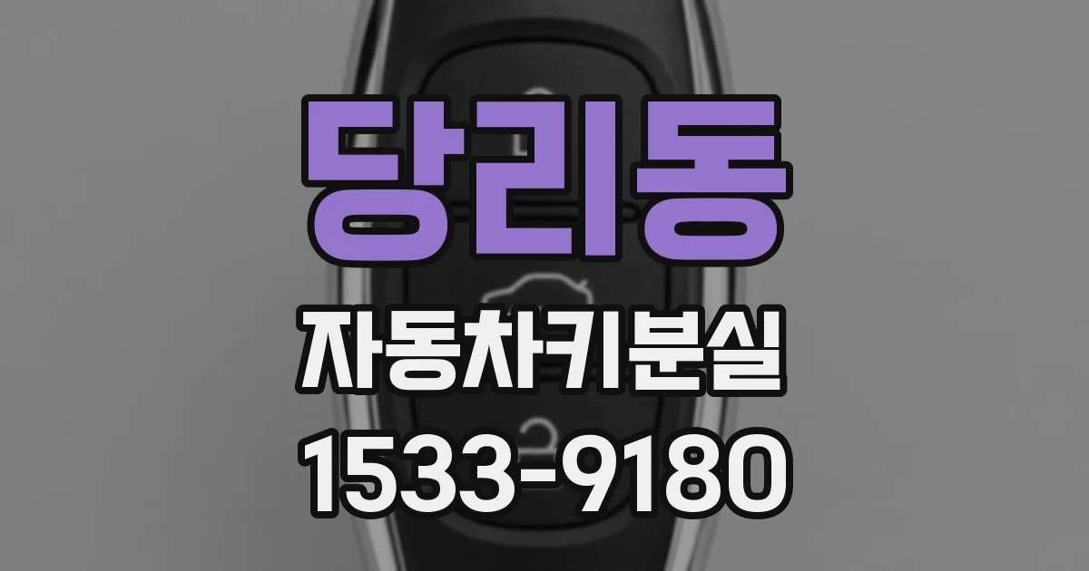 당리동 자동차키분실