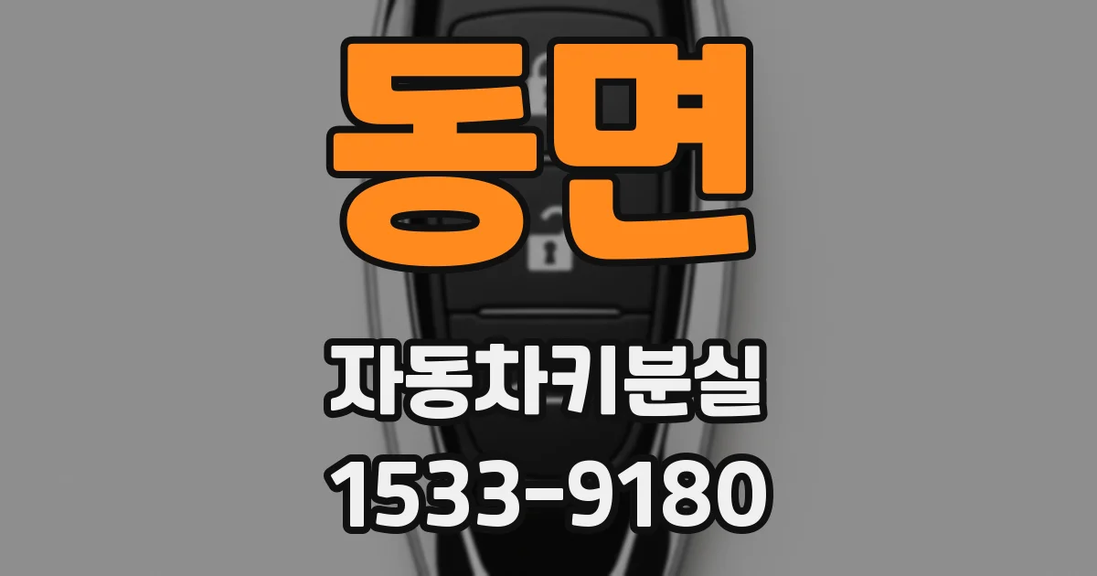 동면 자동차키분실