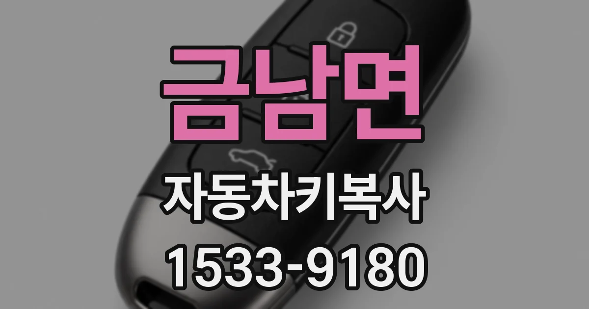 금남면 자동차키복사
