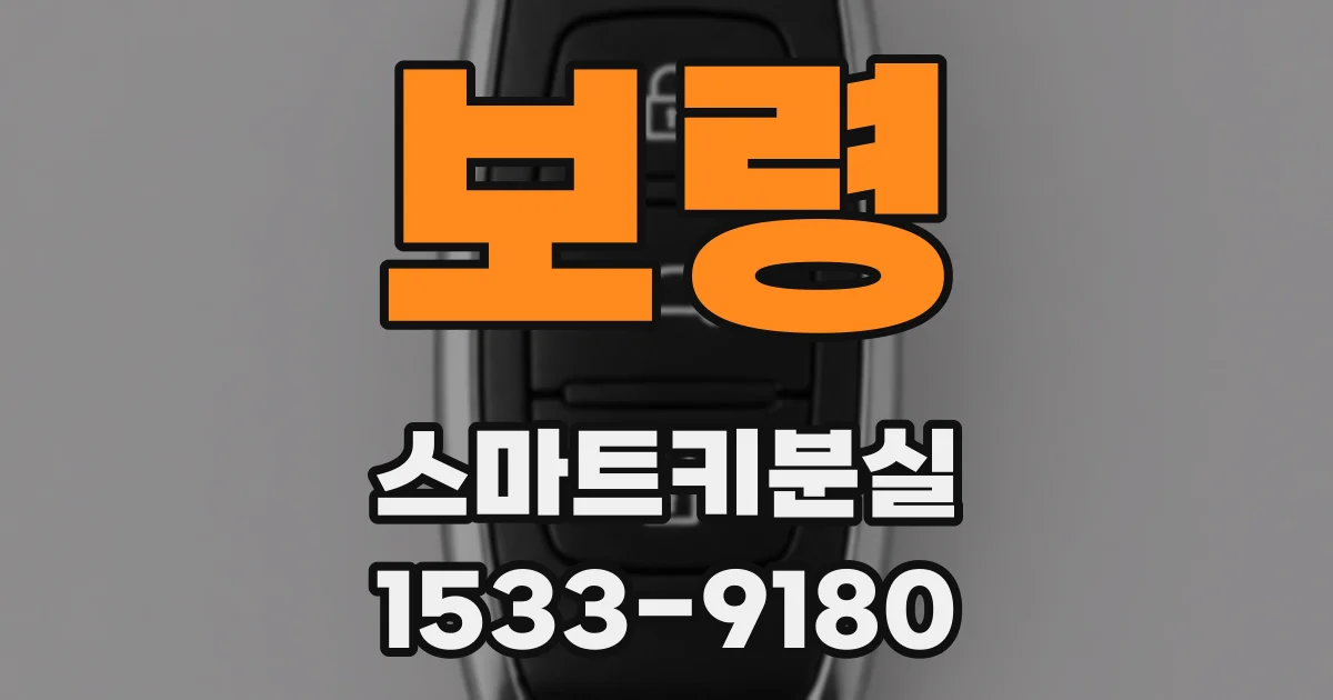 보령 스마트키분실