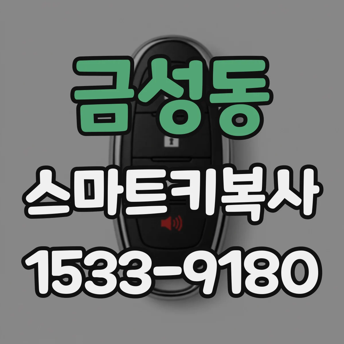 금성동 스마트키복사