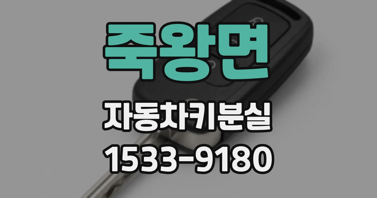 죽왕면 자동차키분실
