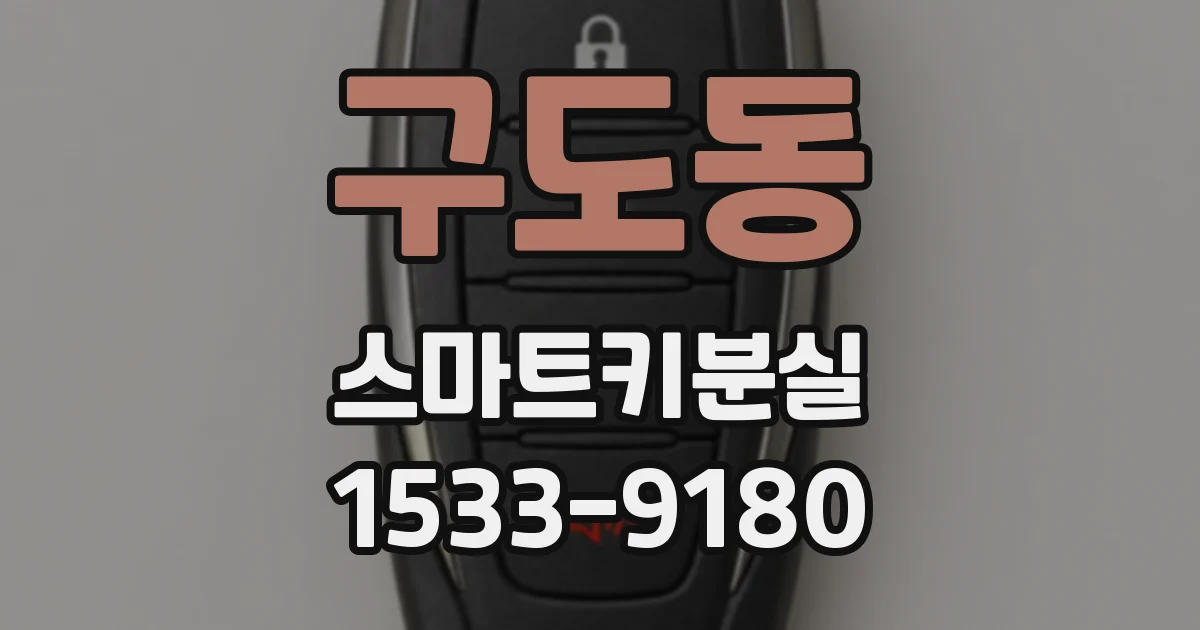 구도동 스마트키분실