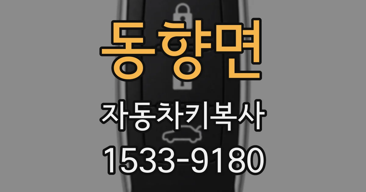 동향면 자동차키복사