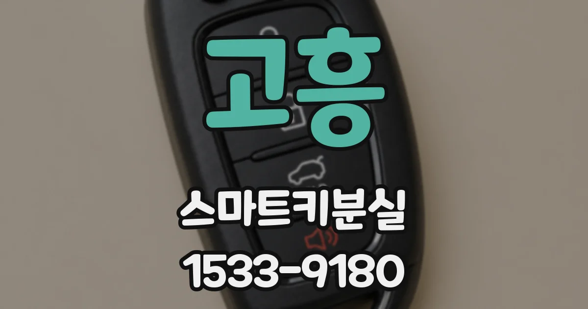 고흥 스마트키분실