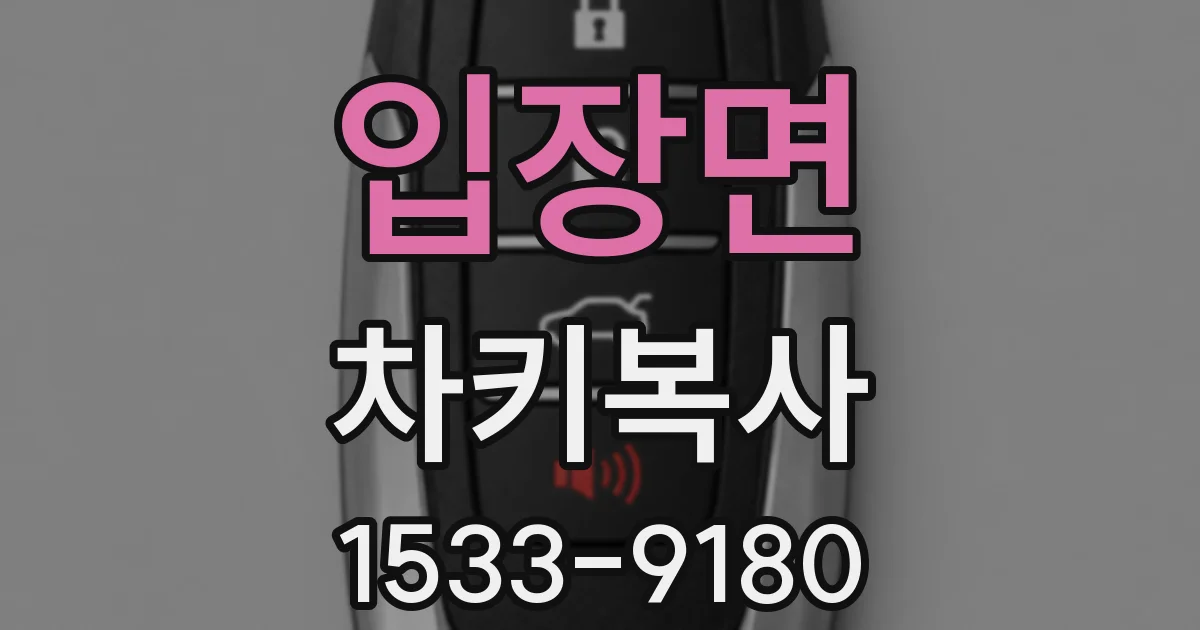 입장면 차키복사