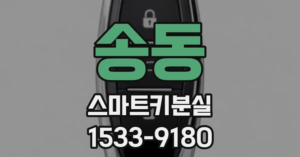 송동 스마트키분실