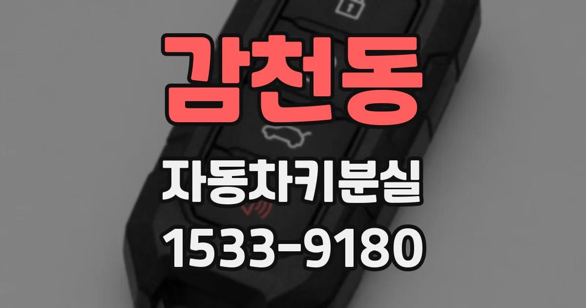 감천동 자동차키분실