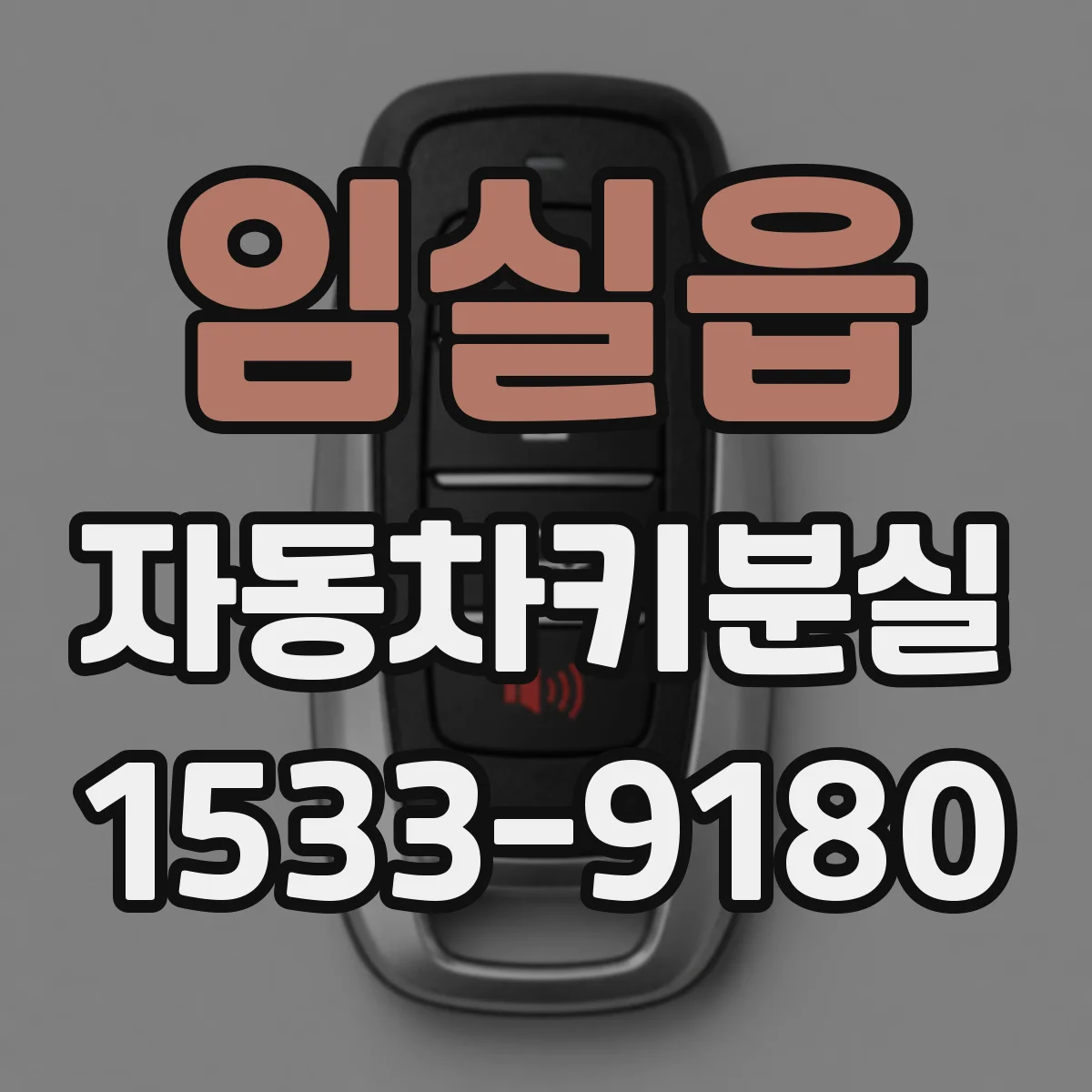 임실읍 자동차키분실