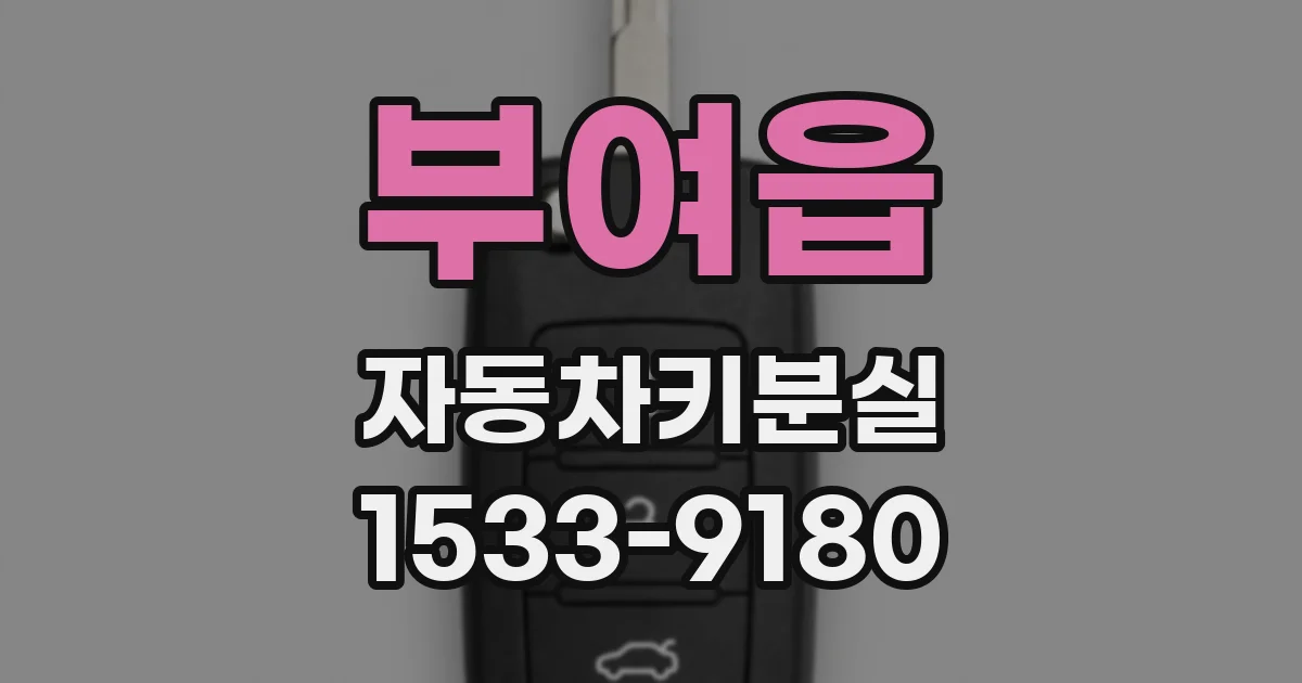 부여읍 자동차키분실